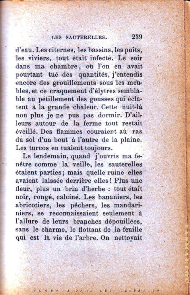 les sauterelles 09.jpg - LEAD Technologies Inc. V1.01